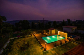 Flower Villa Aster